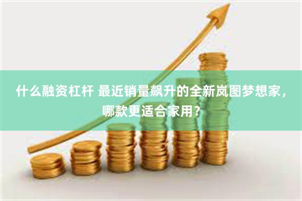 什么融资杠杆 最近销量飙升的全新岚图梦想家，哪款更适合家用？