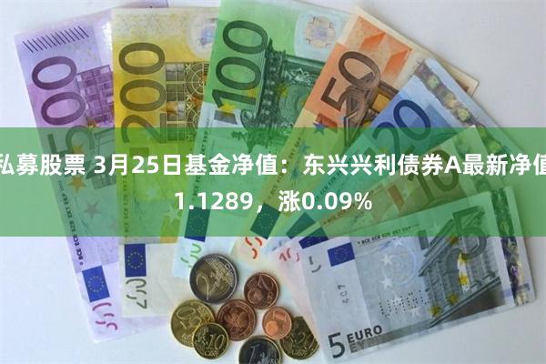 私募股票 3月25日基金净值：东兴兴利债券A最新净值1.1289，涨0.09%