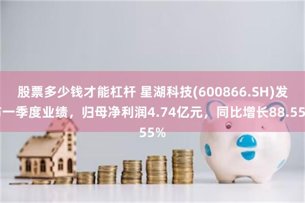 股票多少钱才能杠杆 星湖科技(600866.SH)发布一季度业绩，归母净利润4.74亿元，同比增长88.55%