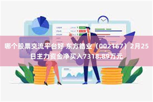 哪个股票交流平台好 东方锆业（002167）2月25日主力资金净买入7318.89万元