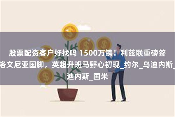股票配资客户好找吗 1500万镑！利兹联重磅签约斯洛文尼亚国脚，英超升班马野心初现_约尔_乌迪内斯_国米