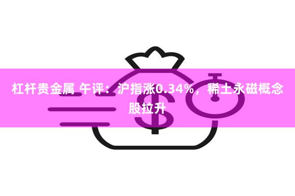 杠杆贵金属 午评：沪指涨0.34%，稀土永磁概念股拉升