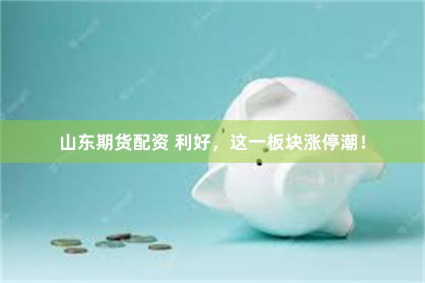 山东期货配资 利好，这一板块涨停潮！
