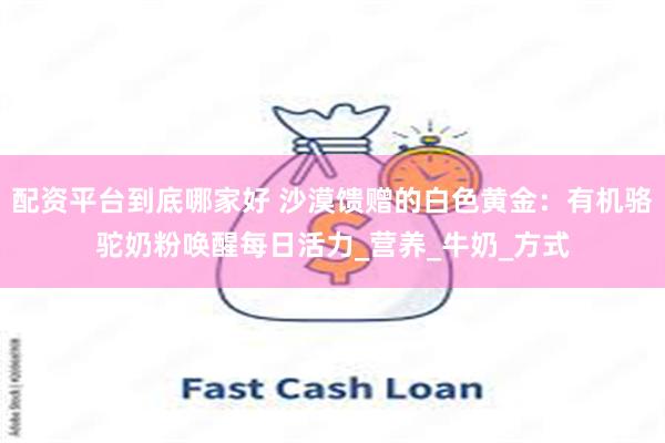 配资平台到底哪家好 沙漠馈赠的白色黄金：有机骆驼奶粉唤醒每日活力_营养_牛奶_方式