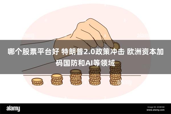 哪个股票平台好 特朗普2.0政策冲击 欧洲资本加码国防和AI等领域