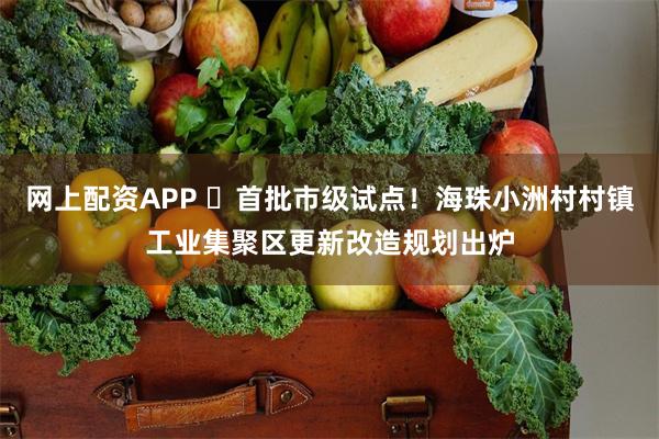 网上配资APP ​首批市级试点！海珠小洲村村镇工业集聚区更新改造规划出炉